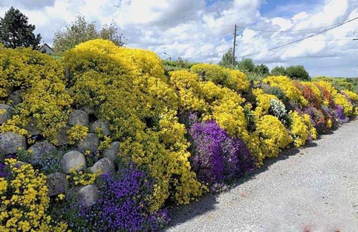 Landscaped walls internationally